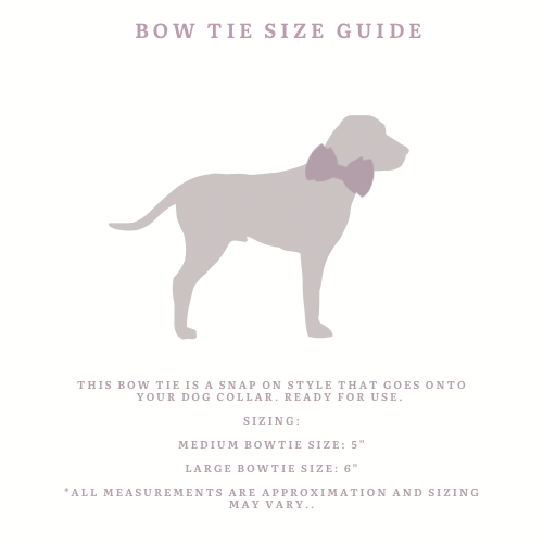 Cocoalicious Bowtie: M