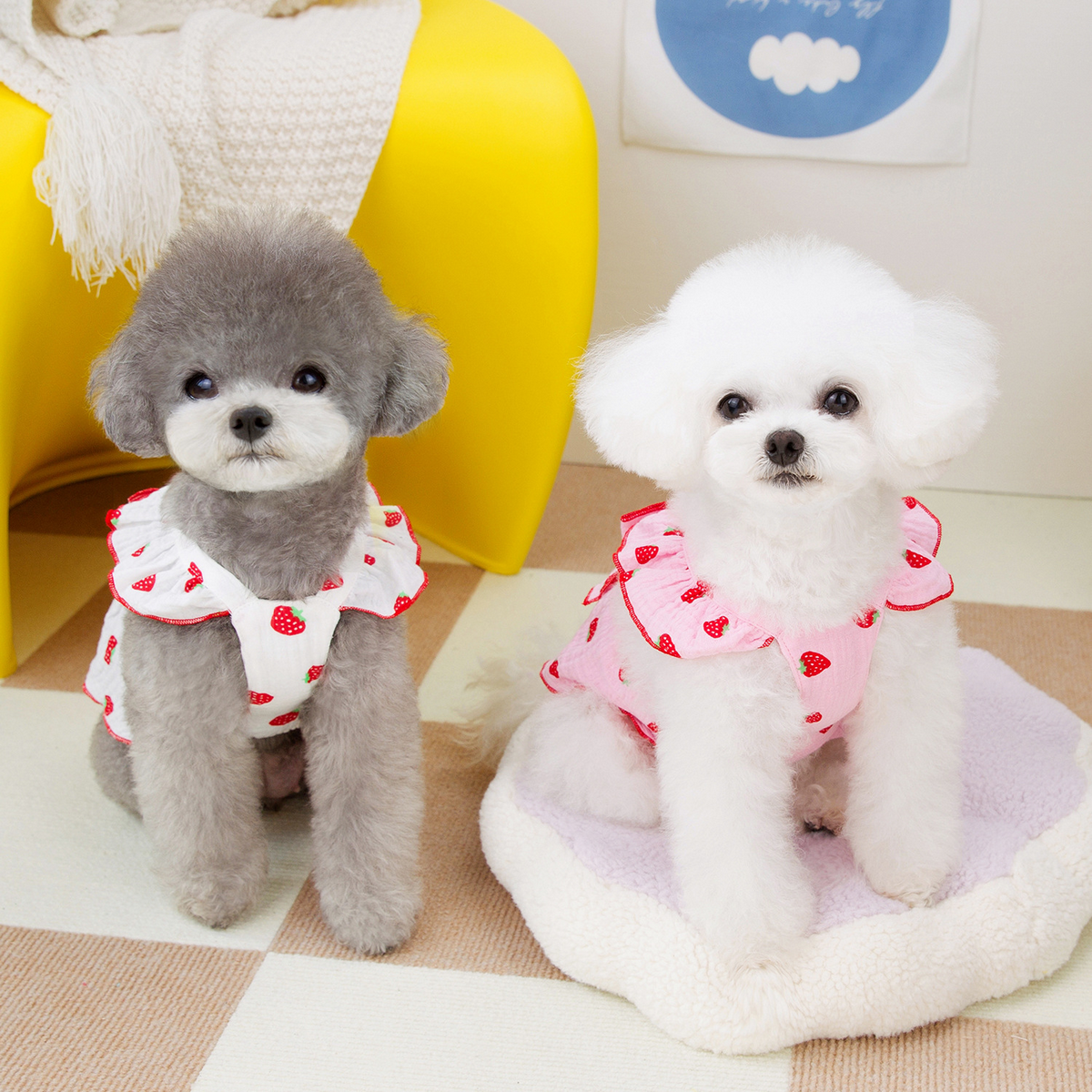 FloralPaw Princess Dress – Spring Pet Outfit_CWMM6984: Pink / (M) 2