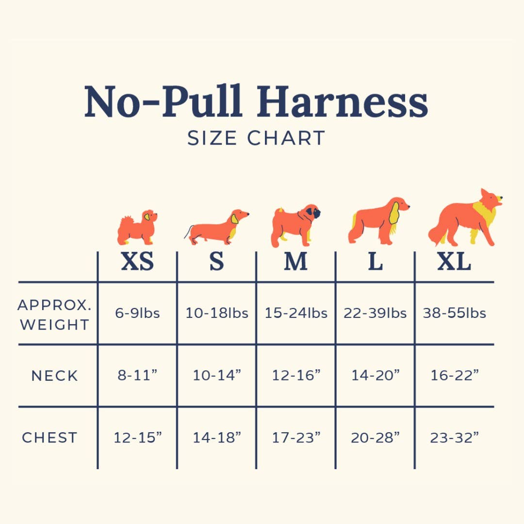 Lucy & Co. - Blue Check Fleece No-Pull Harness