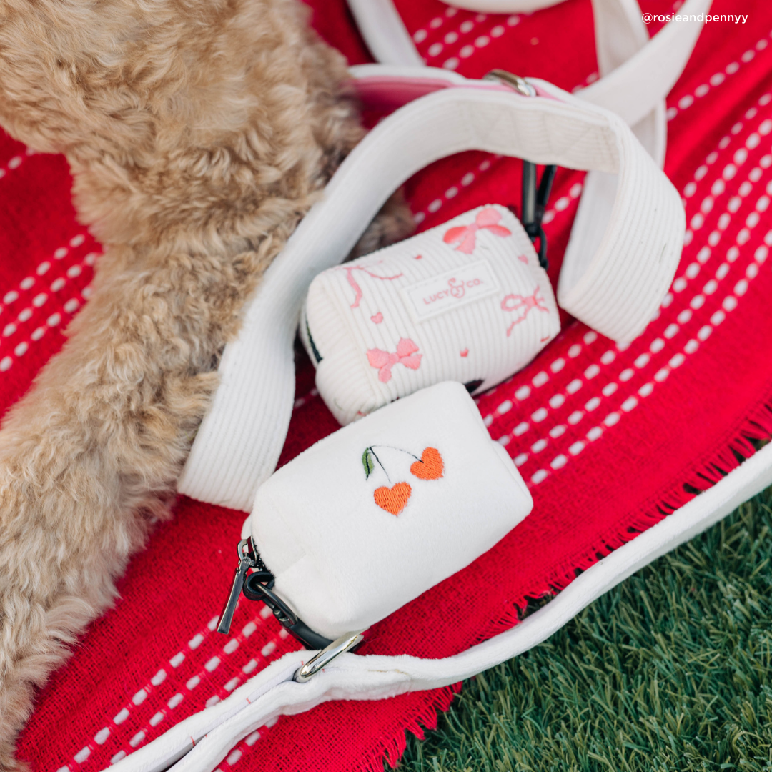 Lucy & Co. - Ever So Sweet Corduroy Leash