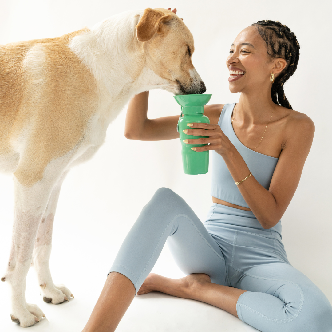 Dog Travel Water Bottle - 22oz Classic (12 Pack): Cotton Candy / 22 oz