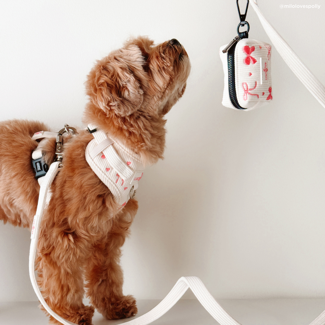 Lucy & Co. - Ever So Sweet Corduroy Poop Bag Holder