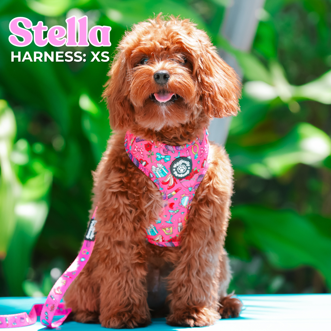 Magically Pawsome - DOG ADJUSTABLE HARNESS - CLASSY BAD-ASSY