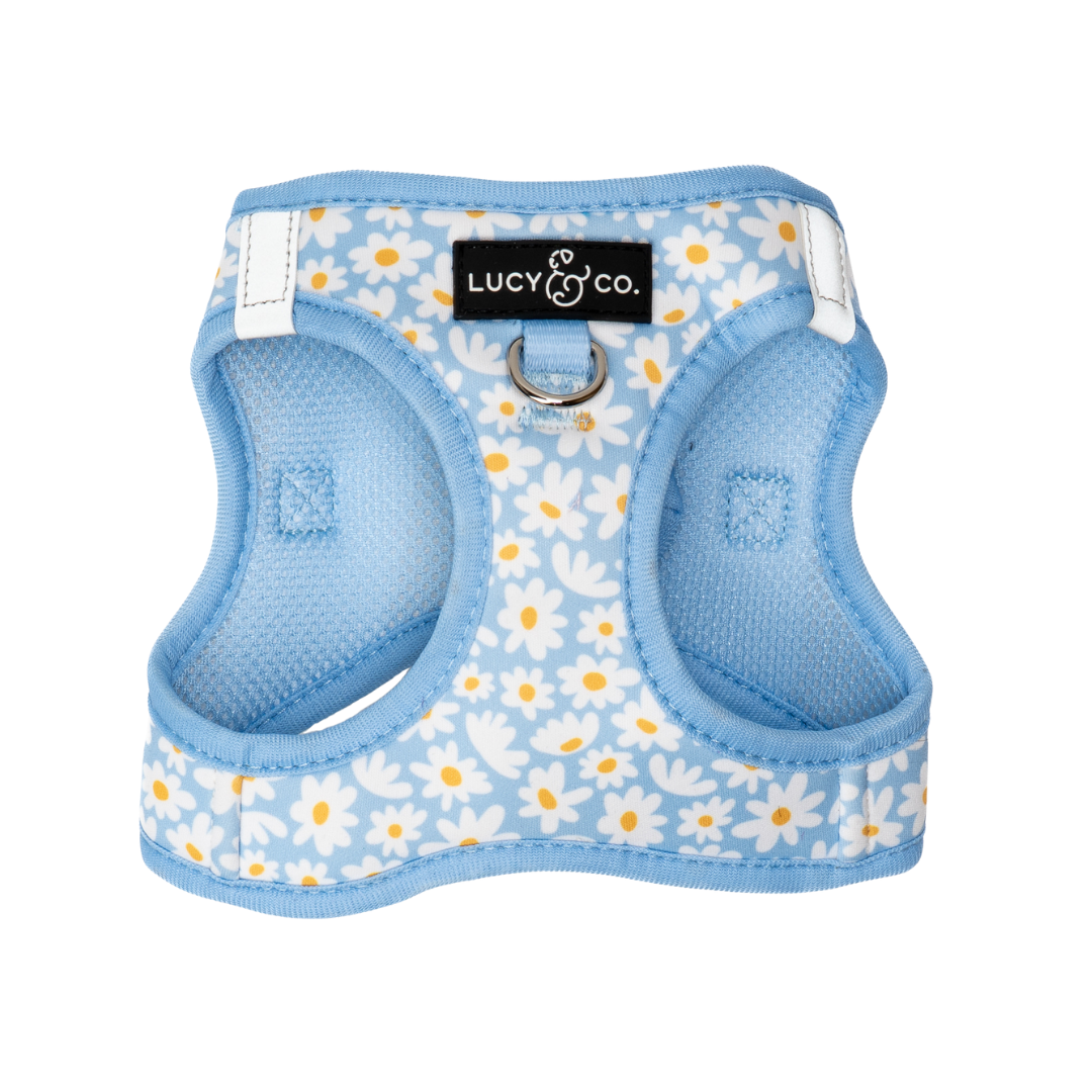 Lucy & Co. - Simply Splendid Step-in Cat Harness