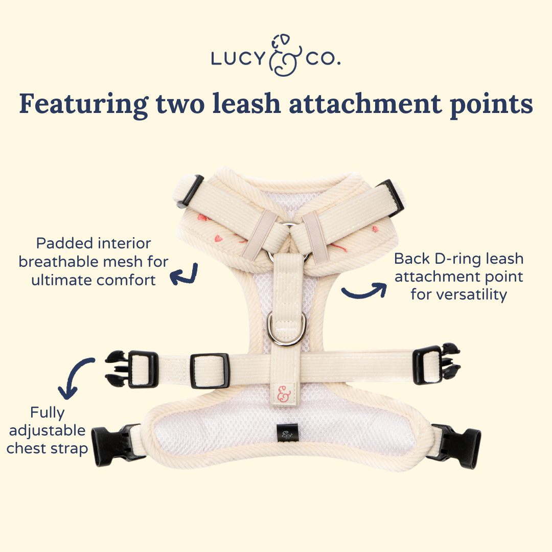 Lucy & Co. - Ever So Sweet Corduroy No-Pull Harness