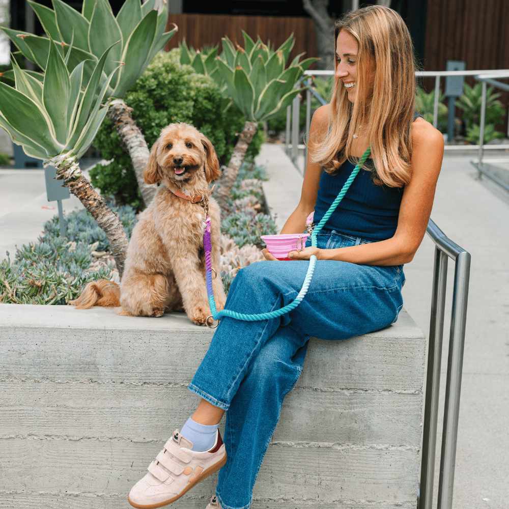 Pink Papyrus | Premium, Durable, & Stylish Dog Products - Bubblegum Heart Collapsible Bowl | Pink Travel Pet Bowl