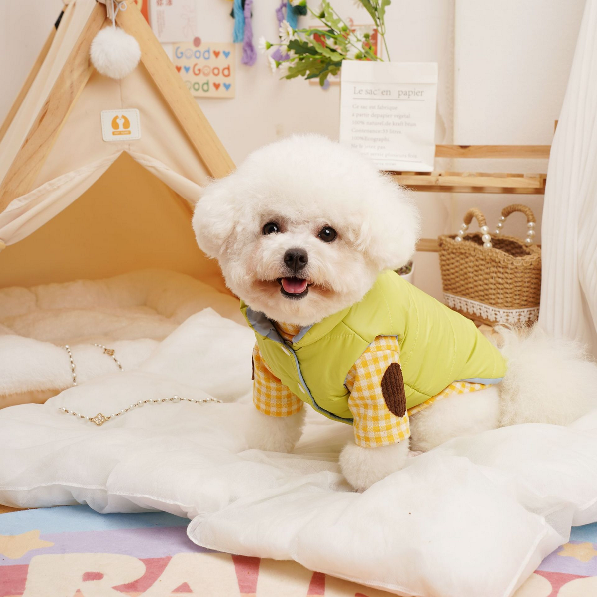 Korean Style Pet Base Shirt – Warm Dog & Cat Wear_CWMM7353: LIGHTGREEN / (S) 1