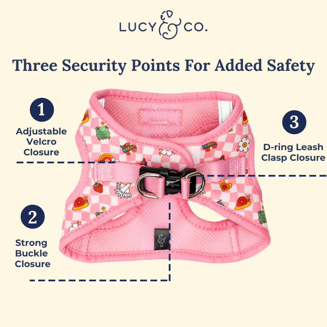Lucy & Co. - Cutie Patootie Step-in Cat Harness