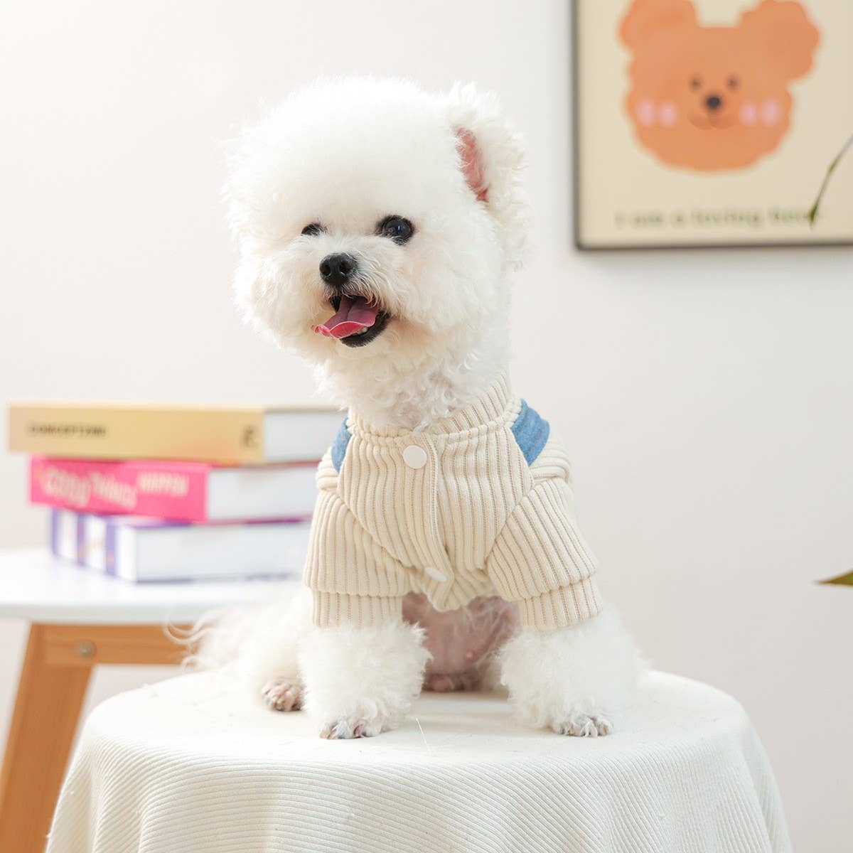 Small Pet Cozy Leopard Heart Dress for Winter_CWMM13029: Blue / (XL) 1