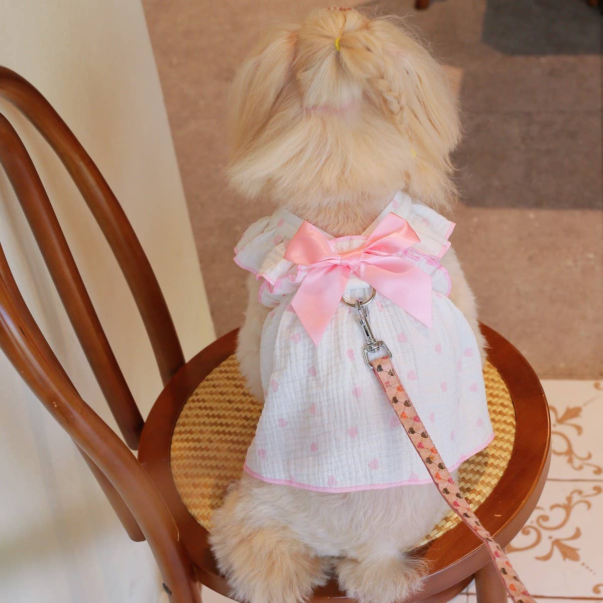 Romantic Heart Pet Dress Soft Ruffle Design_CWMM13261: Black / (L) 1