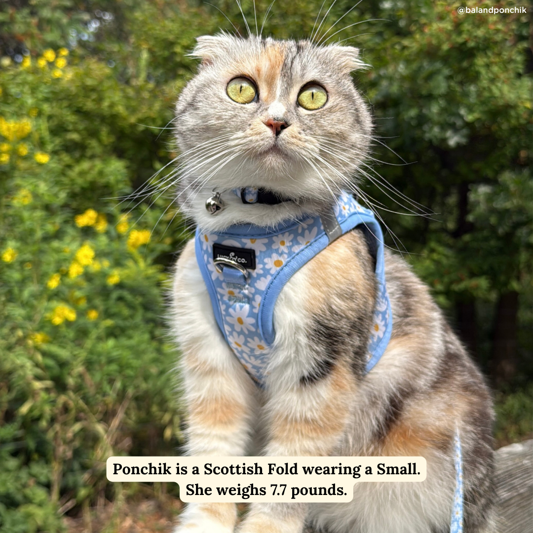 Lucy & Co. - Simply Splendid Step-in Cat Harness