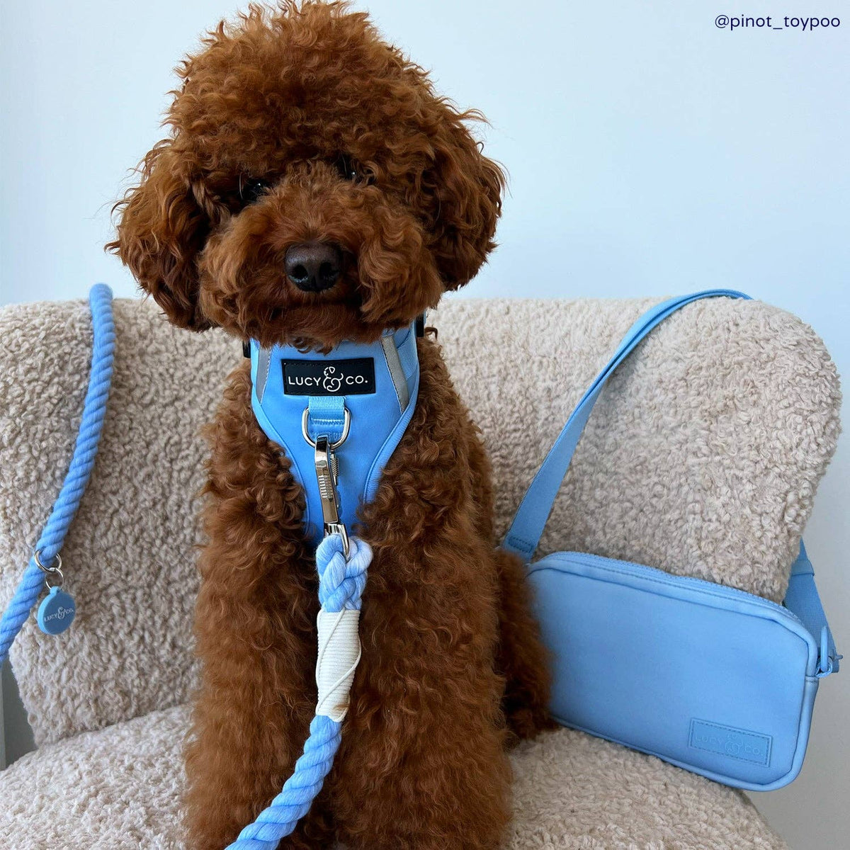 Lucy & Co. - Denim Blue Hands-Free Rope Leash