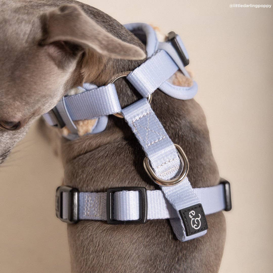 Lucy & Co. - Blue Check Fleece No-Pull Harness