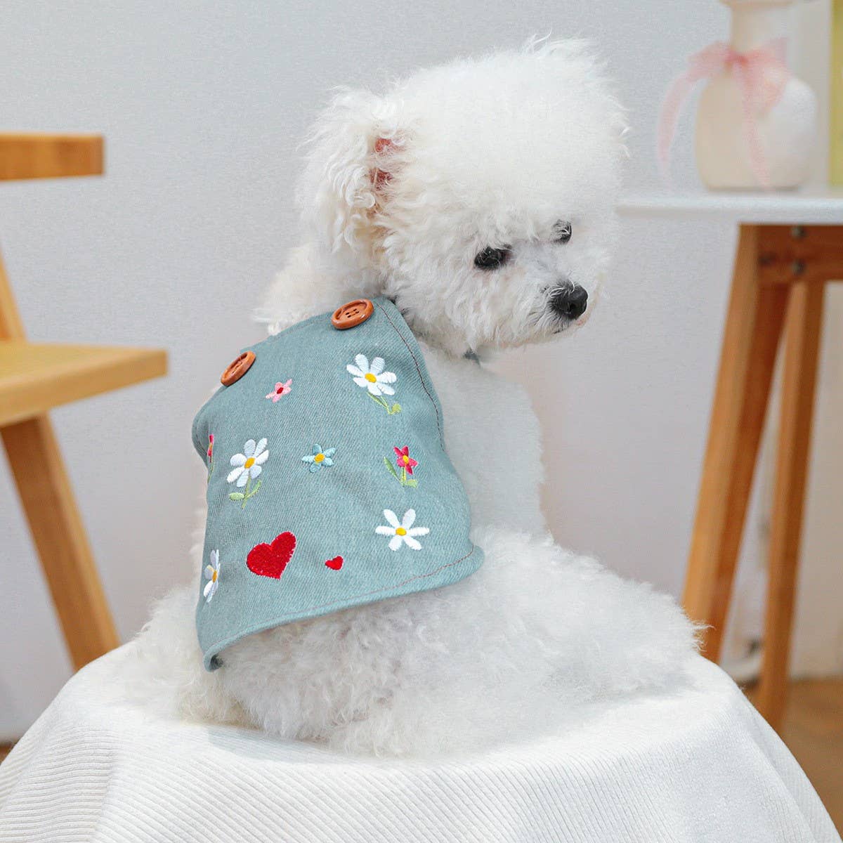 Puppy Kitten Stylish Denim Dress_CWMM13102: BLUE2 / (S) 1