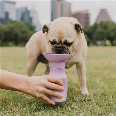 Mini Dog Travel Bottle 15oz.