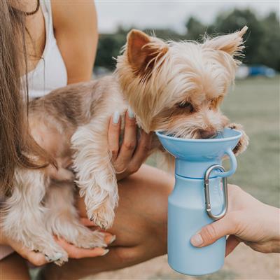 Mini Dog Travel Bottle 15oz.