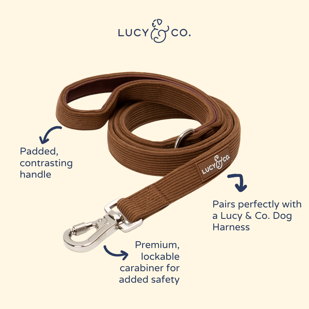 Lucy & Co. - Chocolate Meadows Corduroy Leash