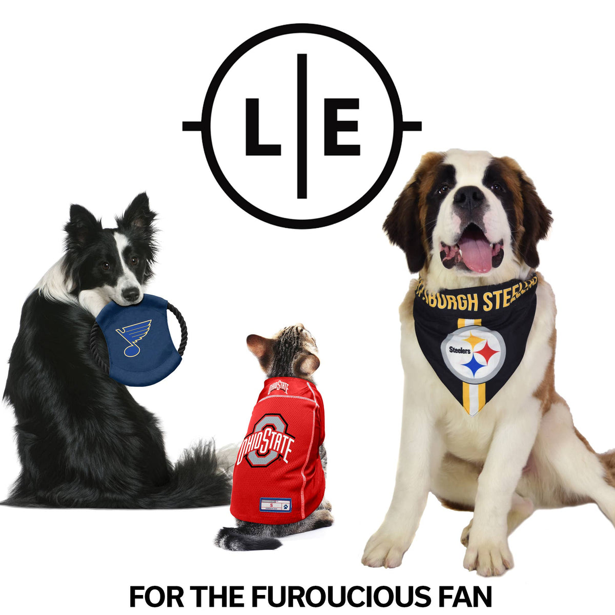 NFL San Francisco 49ers Pet Stretch Jersey: XS1