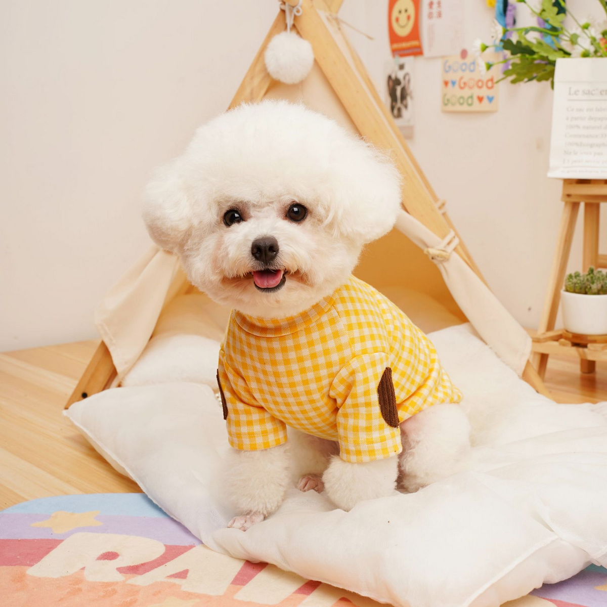 Korean Style Pet Base Shirt – Warm Dog & Cat Wear_CWMM7353: LIGHTGREEN / (M) 1