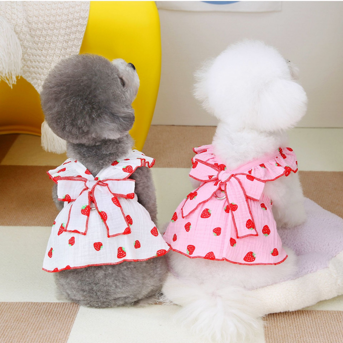 FloralPaw Princess Dress – Spring Pet Outfit_CWMM6984: Pink / (S) 2
