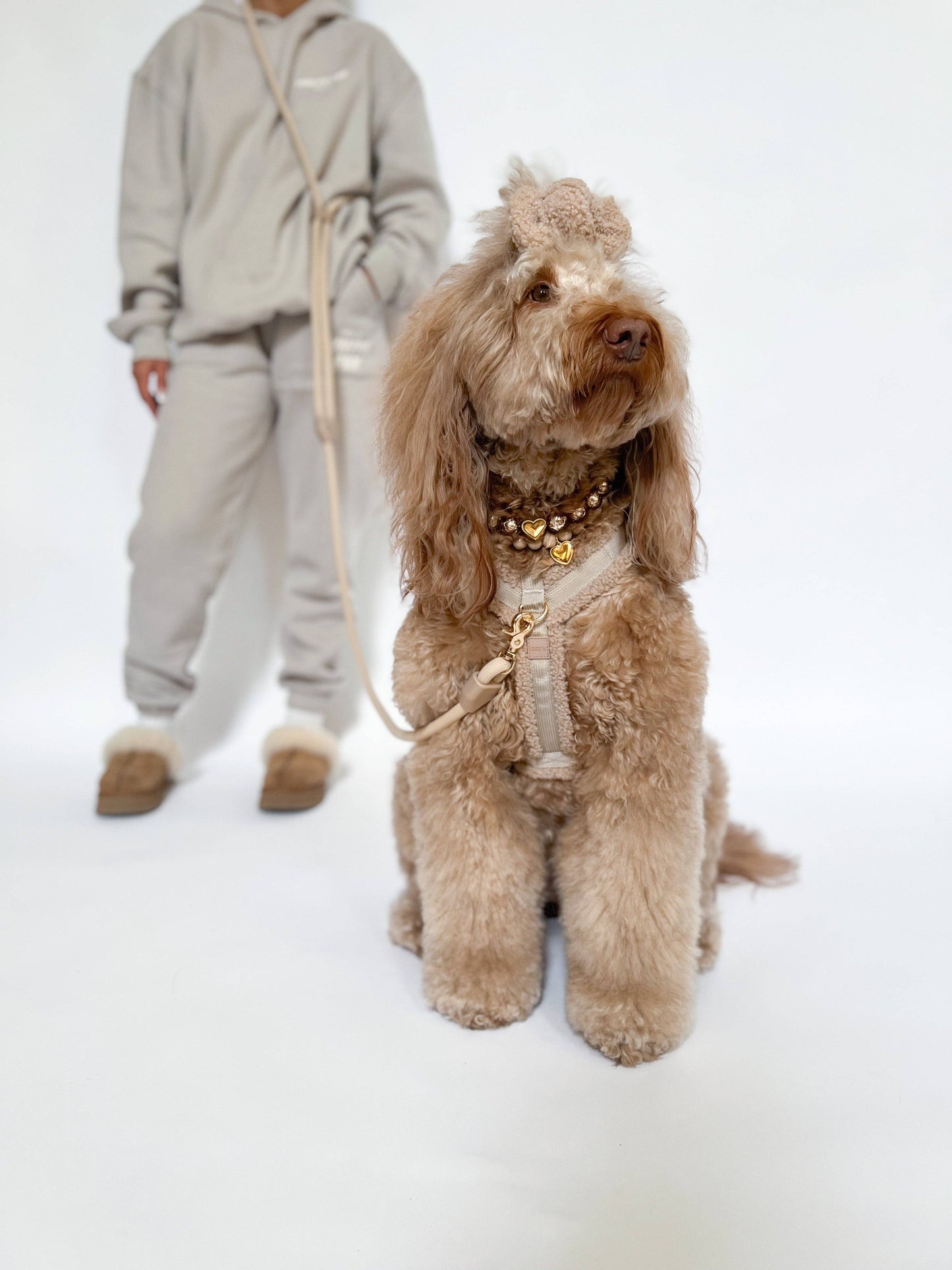 COMFORT HANDS-FREE LEASH - TOFFEE