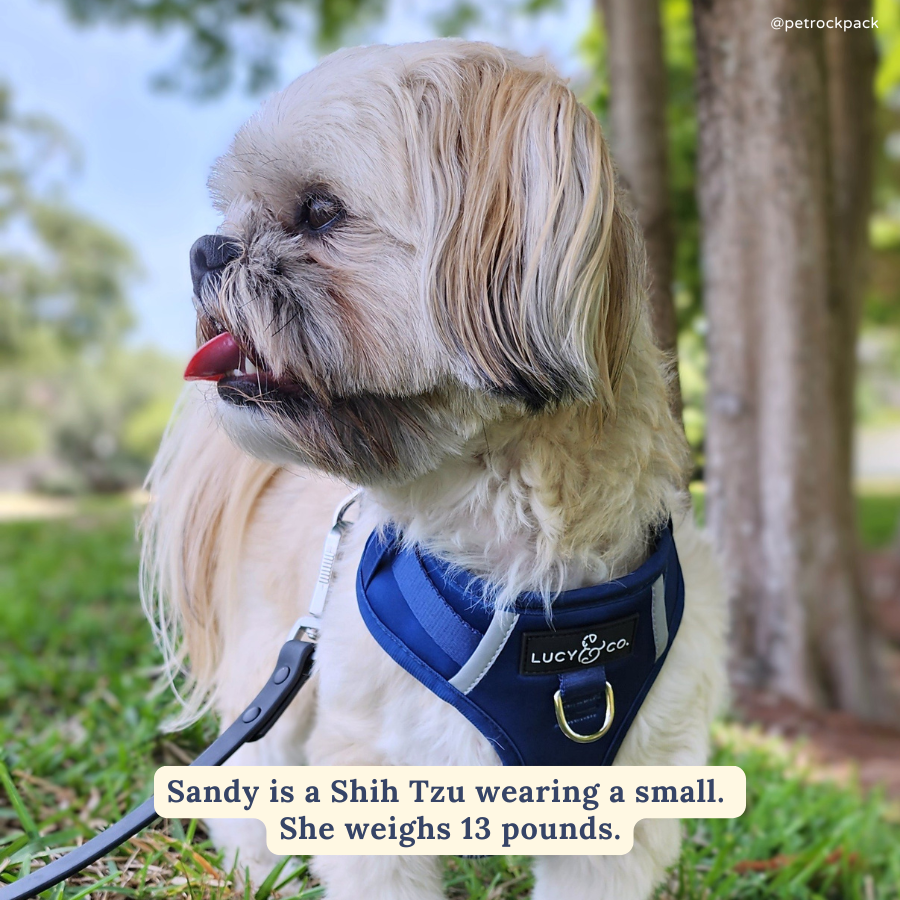 Lucy & Co. - Navy No-Pull Harness