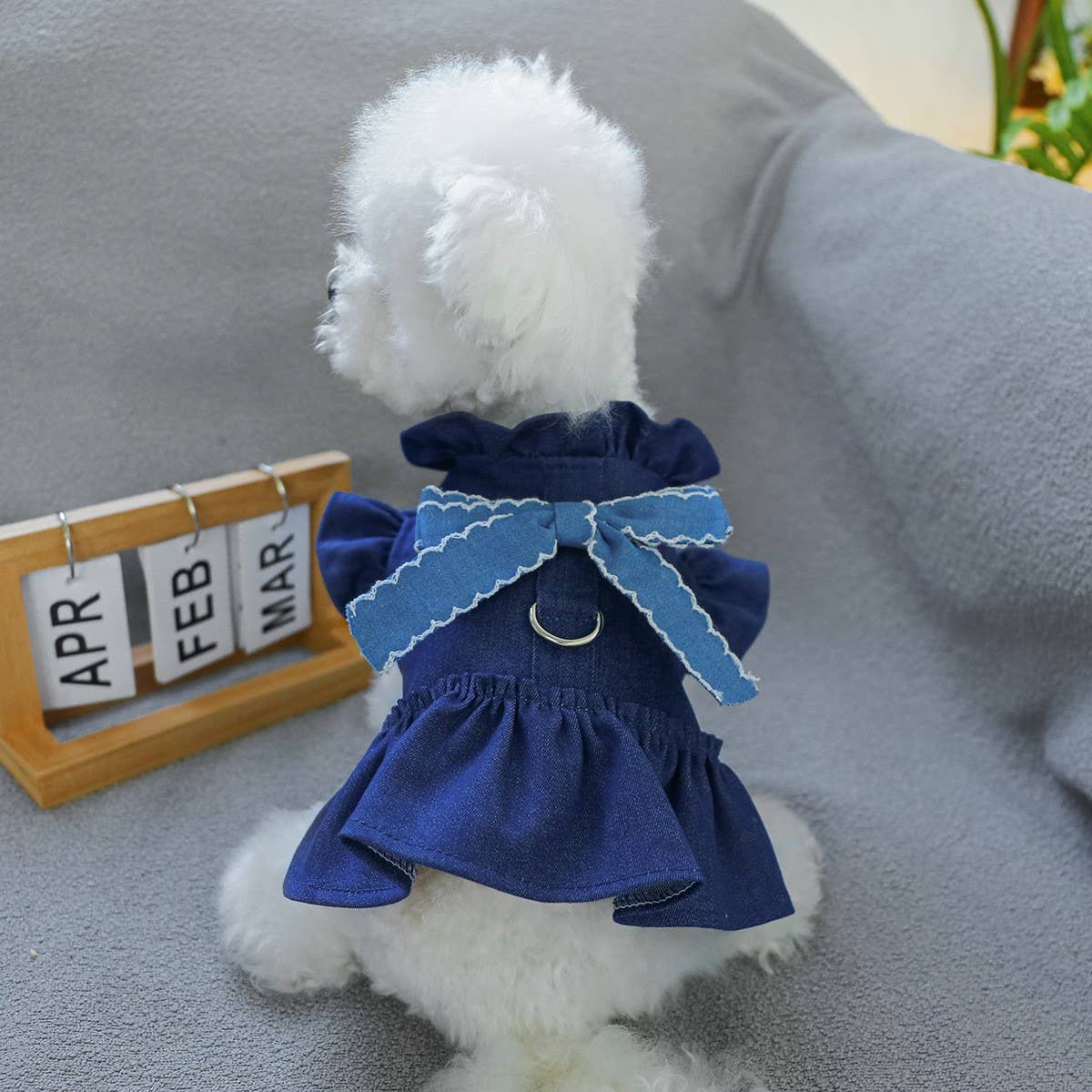 Puppy Kitten Stylish Denim Dress_CWMM13102: BLUE2 / (M) 1