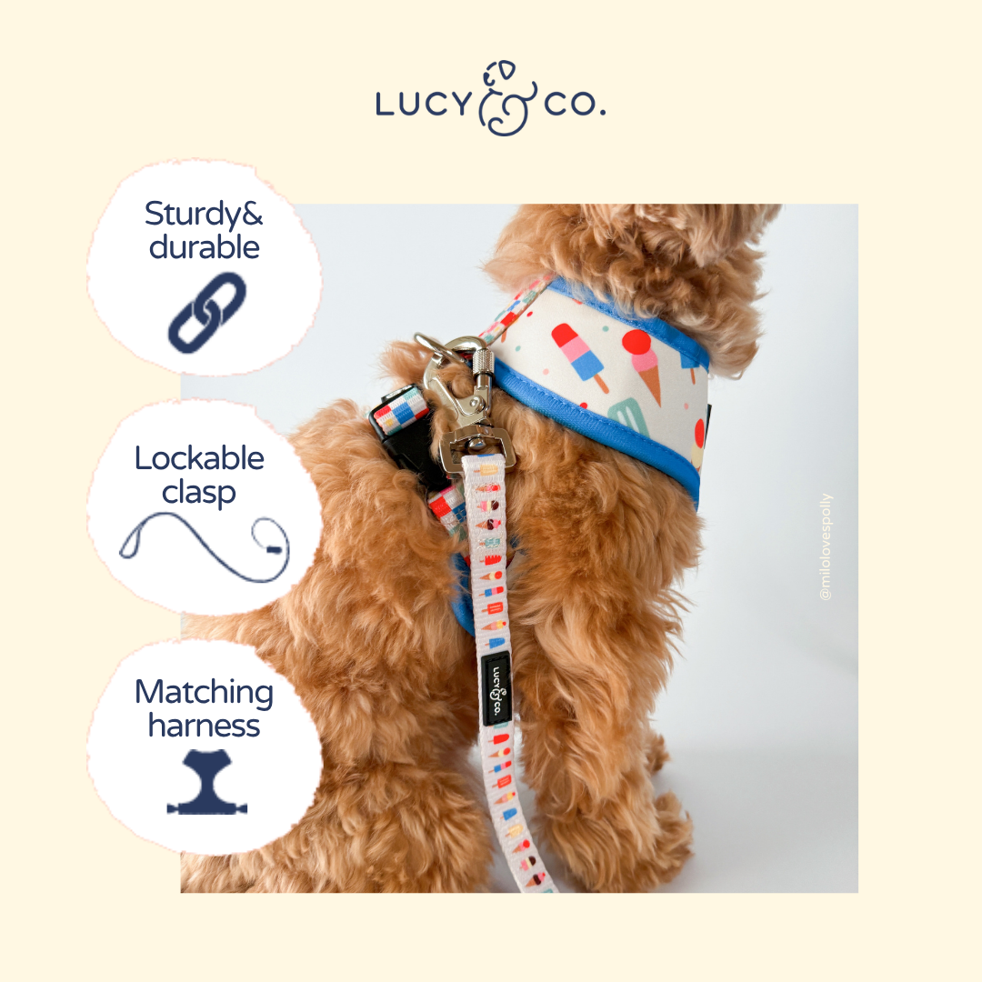 Lucy & Co. - Chocolate Meadows Corduroy Leash