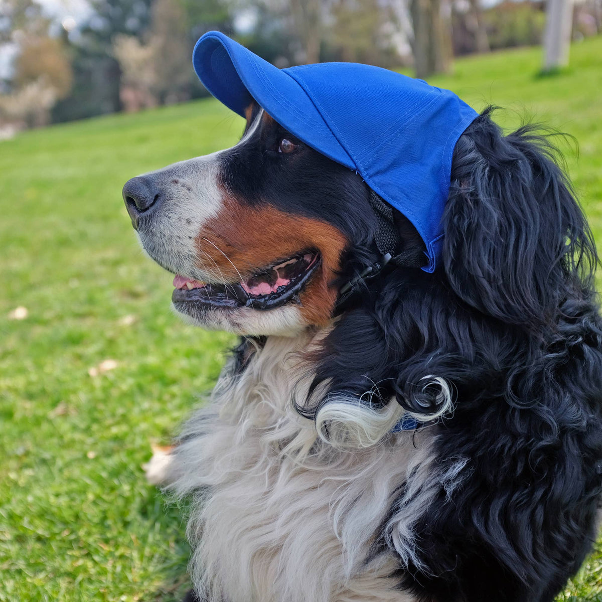MLB Los Angeles Dodgers Pet Baseball Hat: X-Small