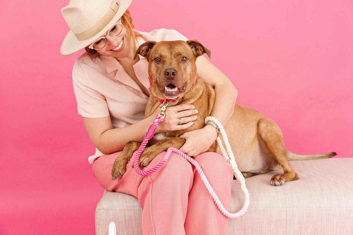 Pink Papyrus | Premium, Durable, & Stylish Dog Products - Rope Leash MEGA Bundle | Dog Leash Pack | Dog Lead Bundle