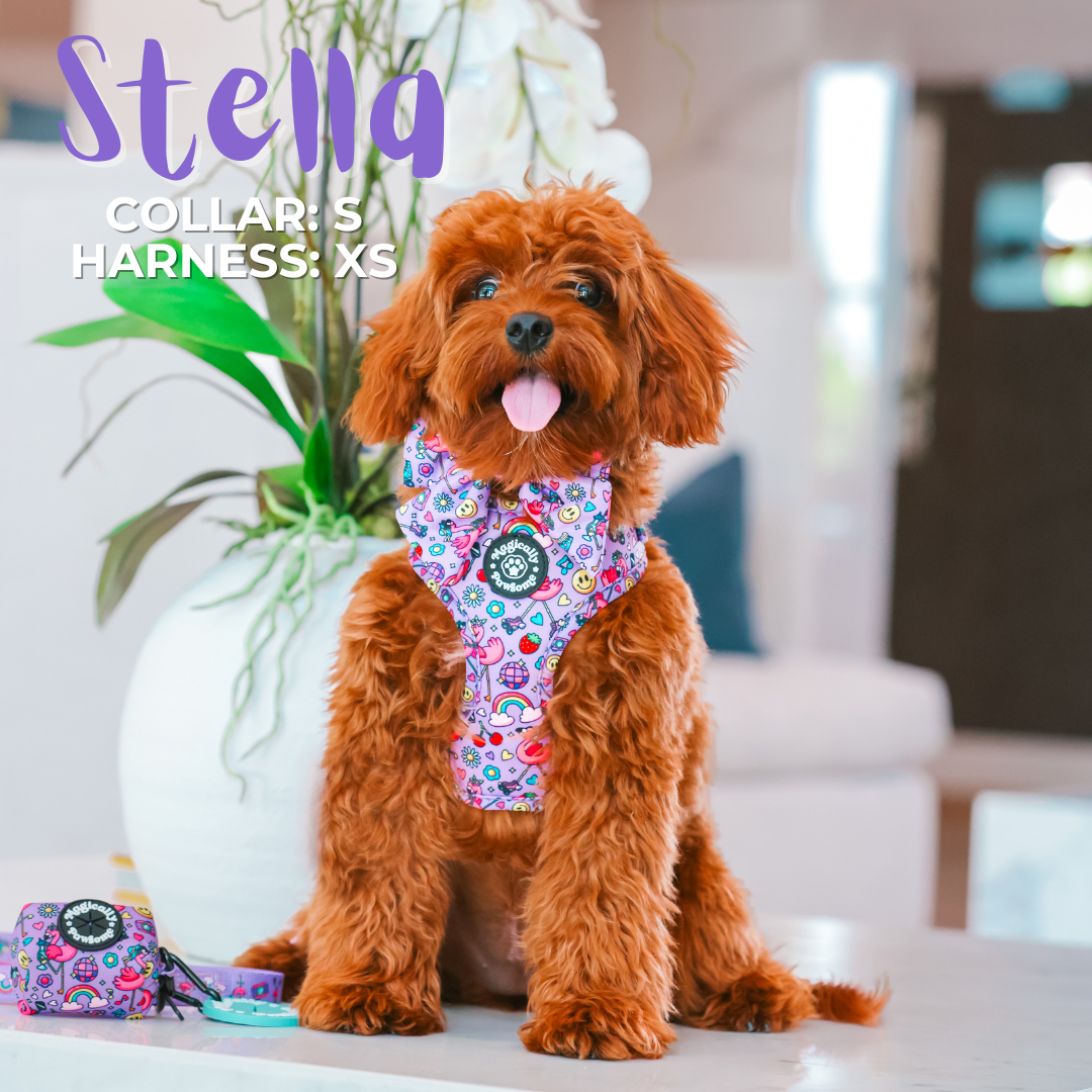 Magically Pawsome - DOG ADJUSTABLE HARNESS - I'M FLAMAZING!