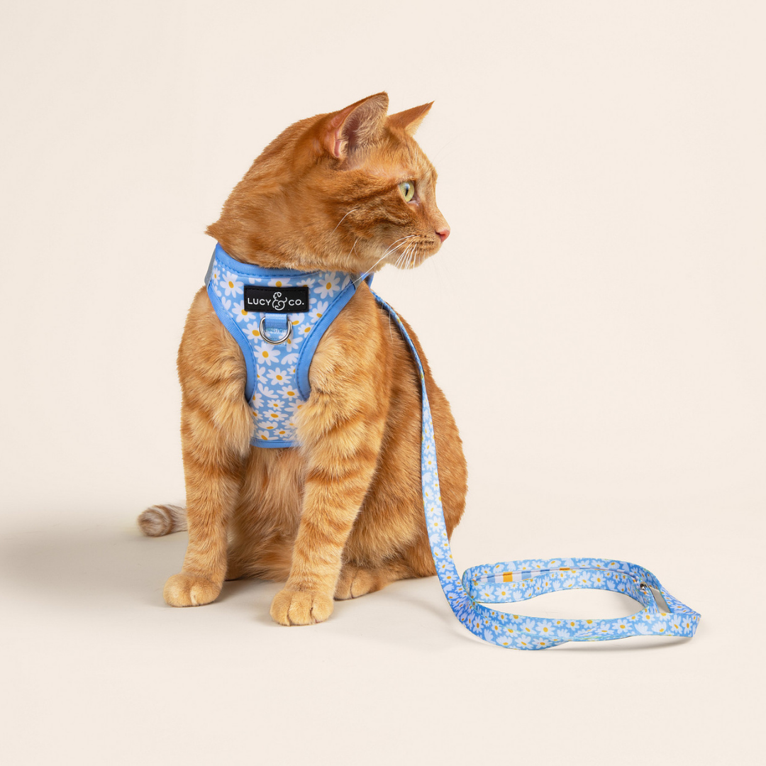 Lucy & Co. - Simply Splendid Step-in Cat Harness