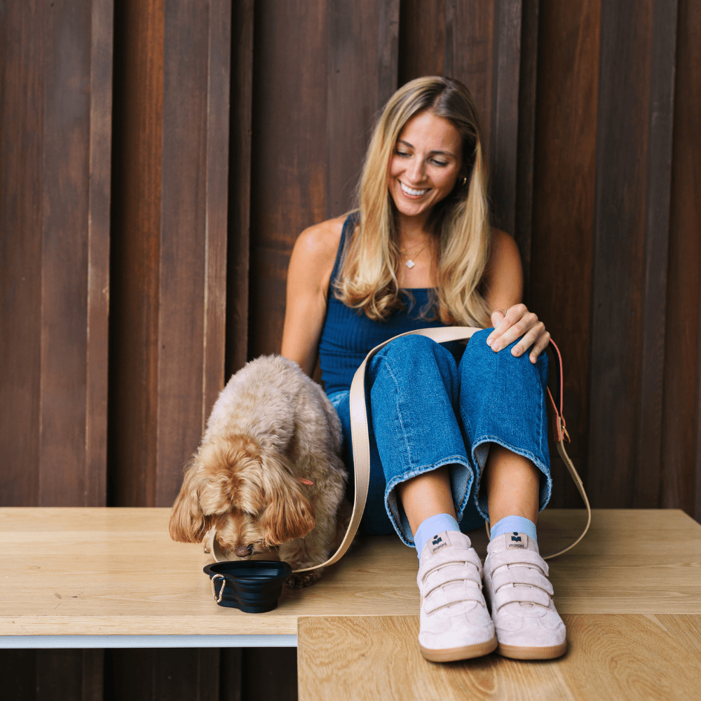 Pink Papyrus | Premium, Durable, & Stylish Dog Products - Black Heart Collapsible Bowl | Travel Pet Bowl