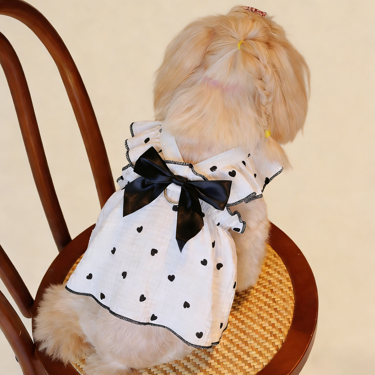 Romantic Heart Pet Dress Soft Ruffle Design_CWMM13261: Black / (S) 1