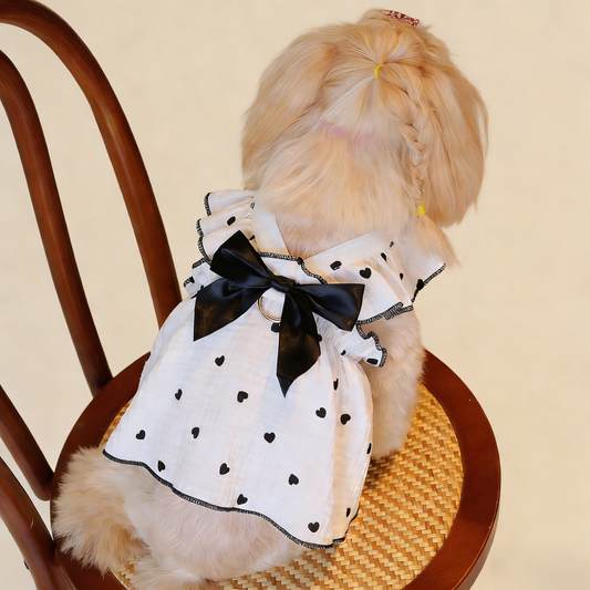 Romantic Heart Pet Dress Soft Ruffle Design_CWMM13261: Black / (S) 1