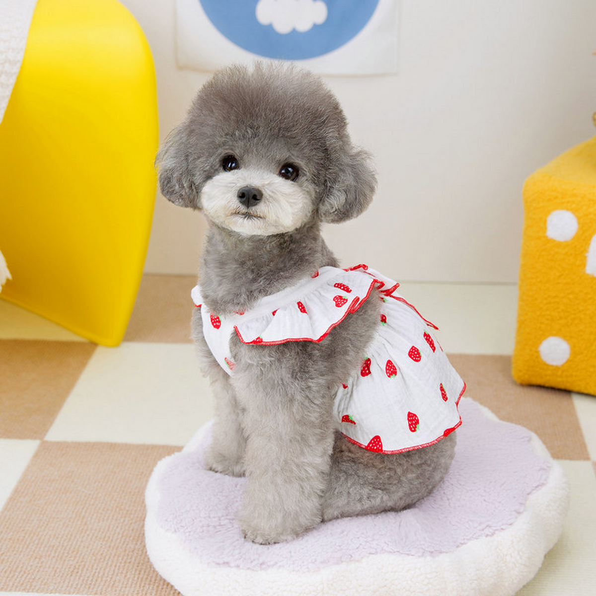 FloralPaw Princess Dress – Spring Pet Outfit_CWMM6984: Pink / (M) 2