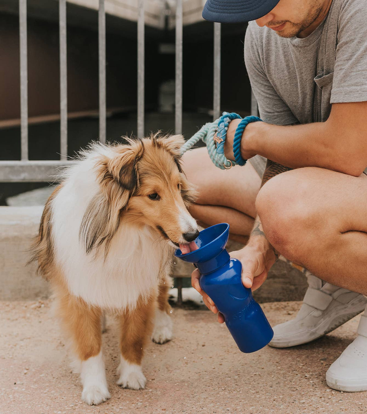 Dog Travel Water Bottle - 22oz Classic (12 Pack): Cotton Candy / 22 oz