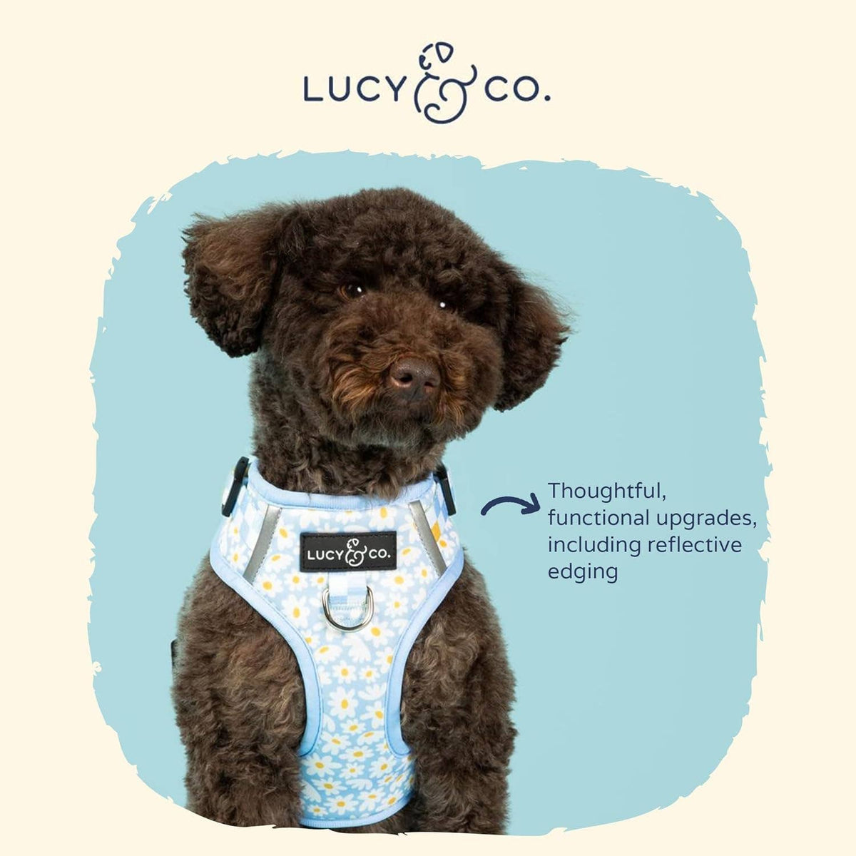 Lucy & Co. - Simply Splendid No-Pull Harness
