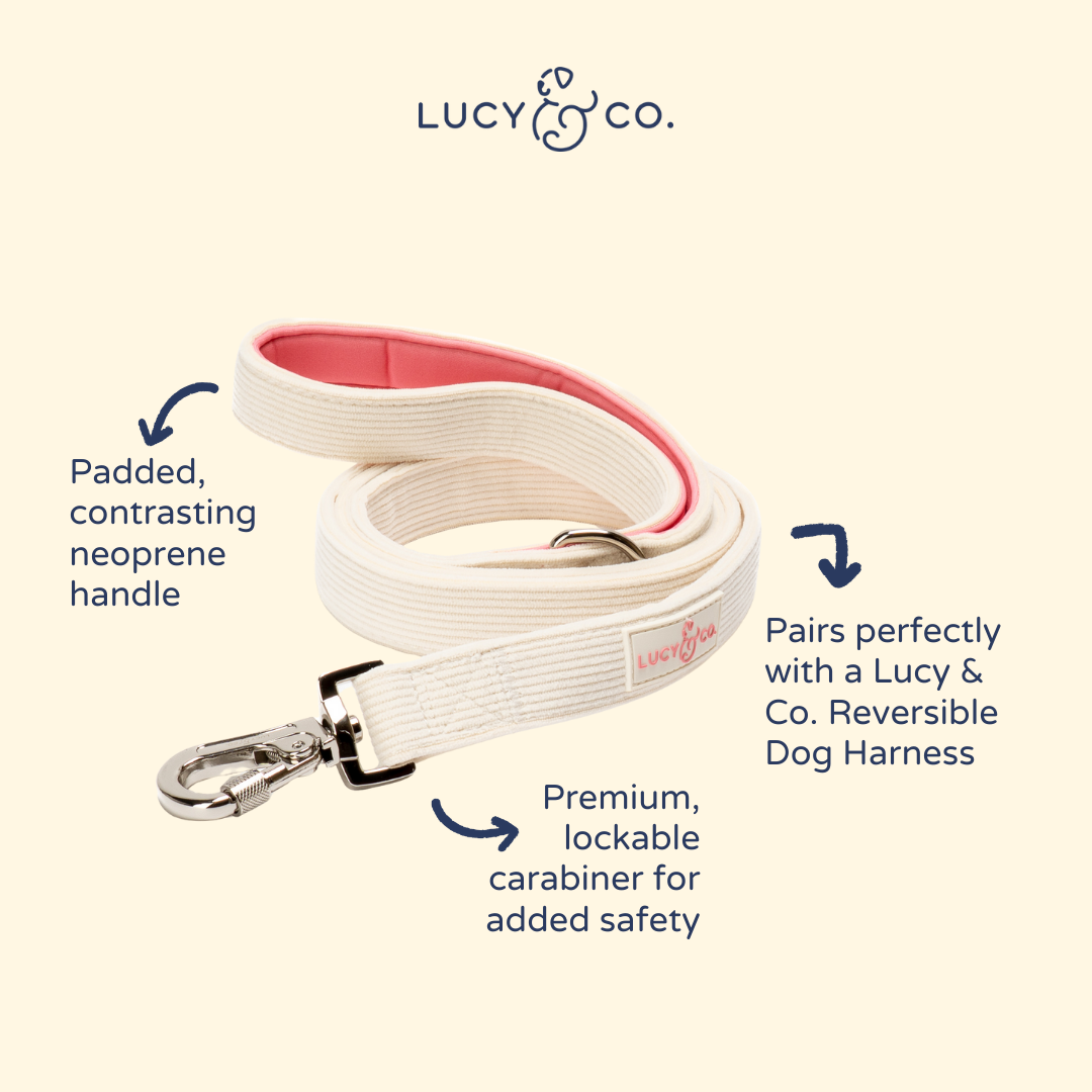 Lucy & Co. - Ever So Sweet Corduroy Leash