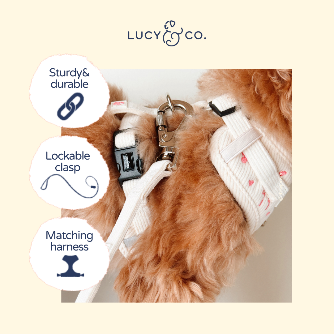 Lucy & Co. - Ever So Sweet Corduroy Leash