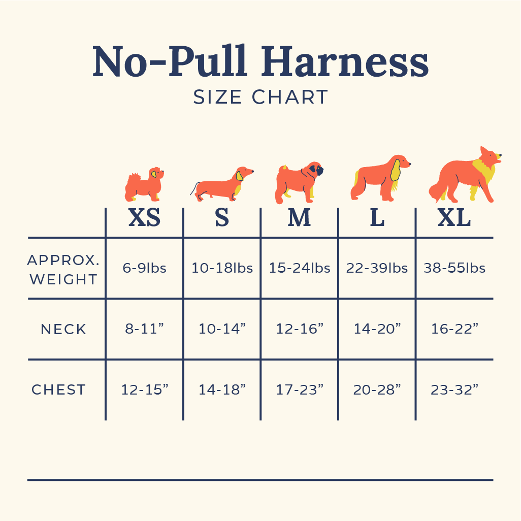Lucy & Co. - Navy No-Pull Harness