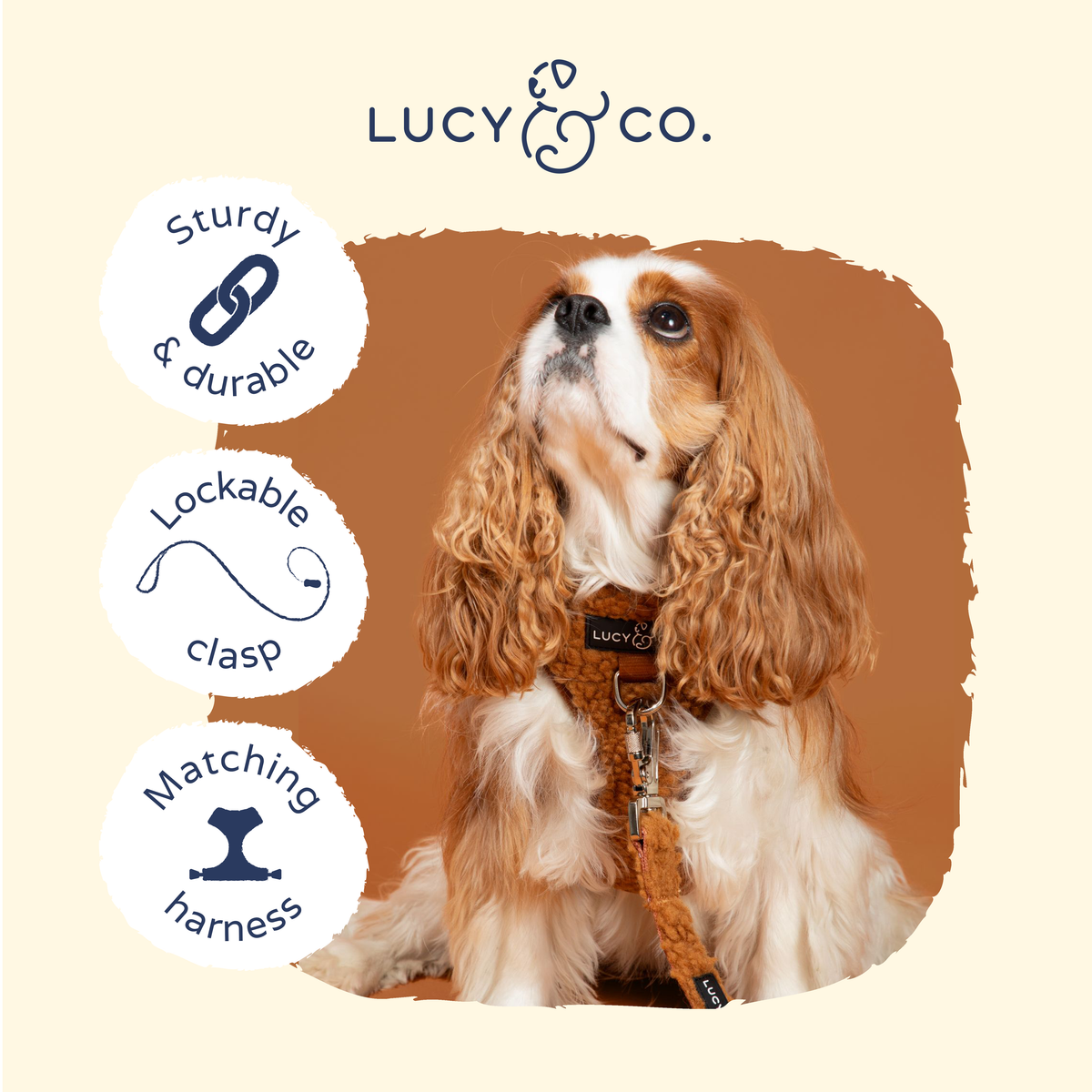 Lucy & Co. - Cinnamon Teddy Leash