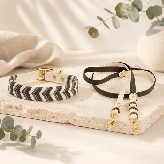 Braided Leash & Collar Set