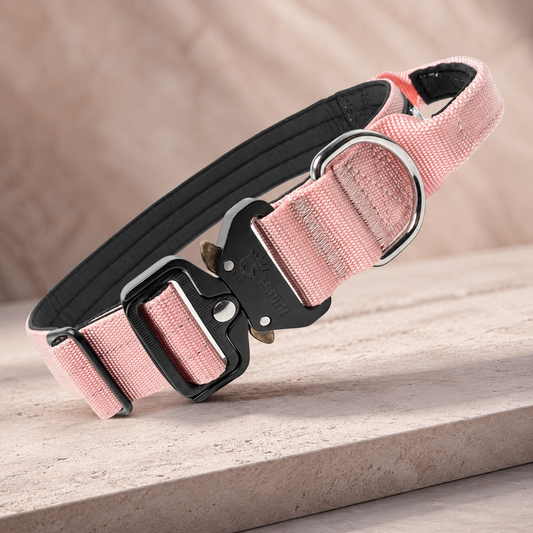 Heavy Duty Tactical Dog Collar with Handle
