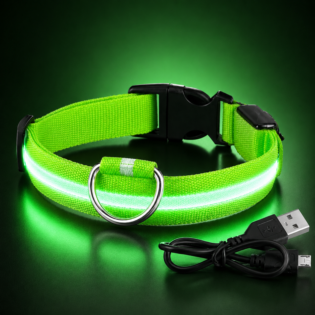 LED Collar
