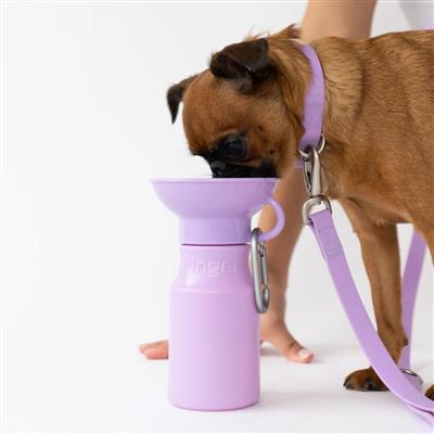 Mini Dog Travel Bottle 15oz.