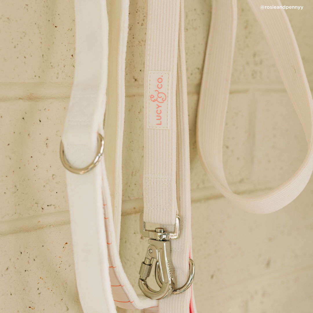 Lucy & Co. - Ever So Sweet Corduroy Leash