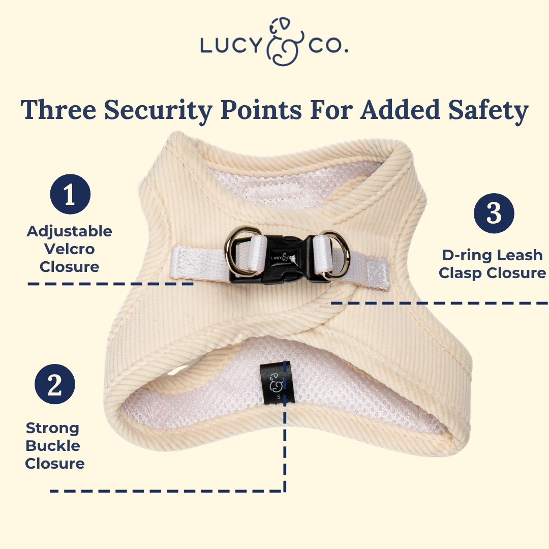 Lucy & Co. - Ever So Sweet Corduroy Step-in Cat Harness