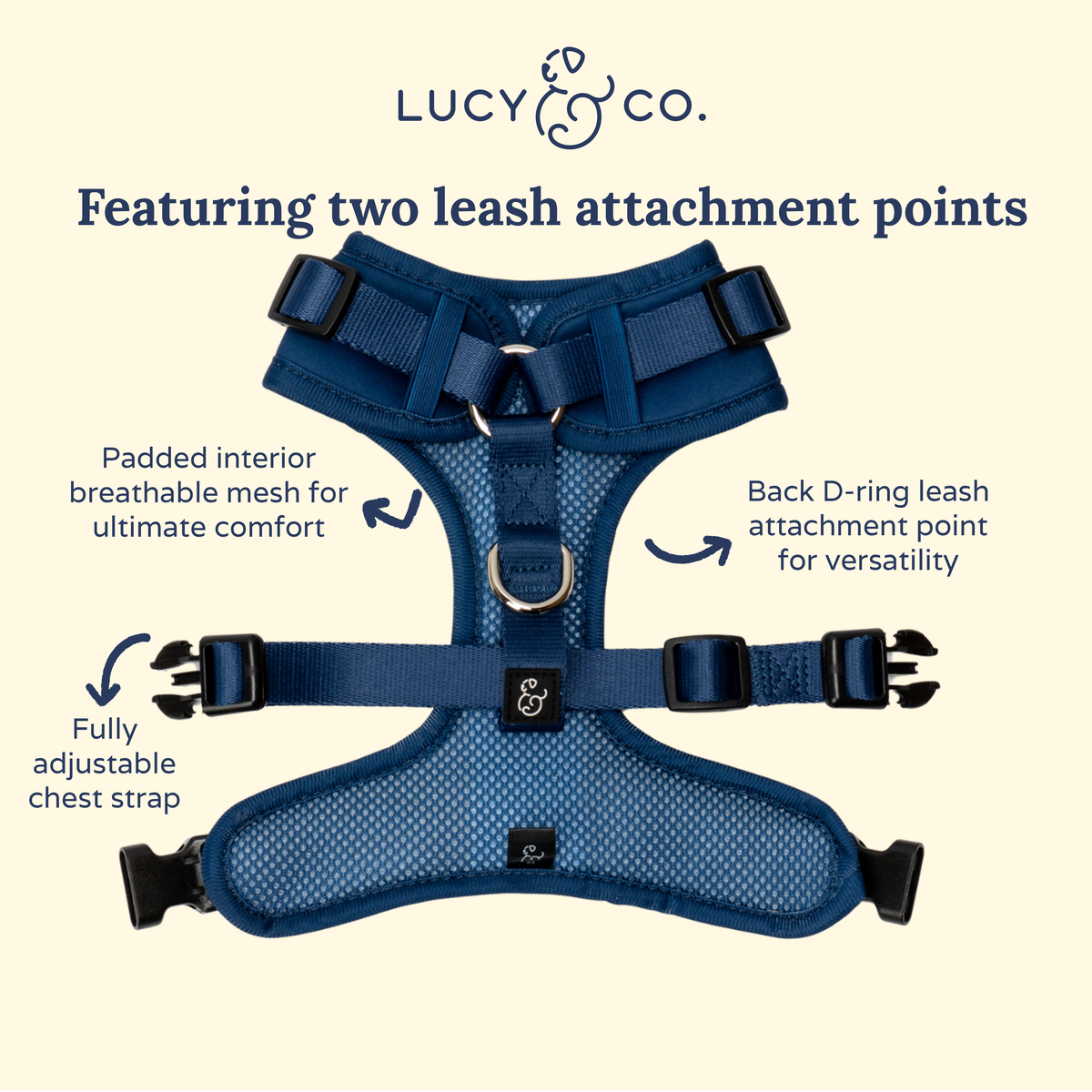 Lucy & Co. - Navy No-Pull Harness