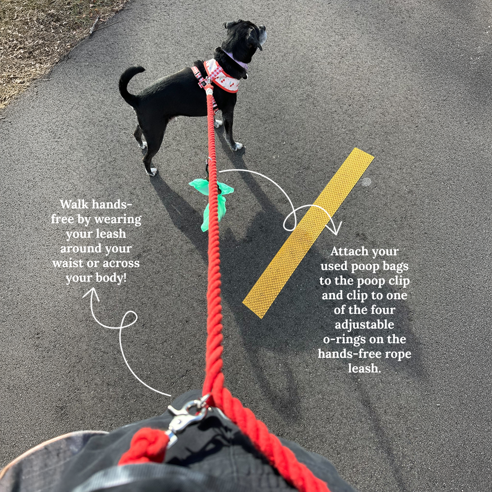 Lucy & Co. - Denim Blue Hands-Free Rope Leash